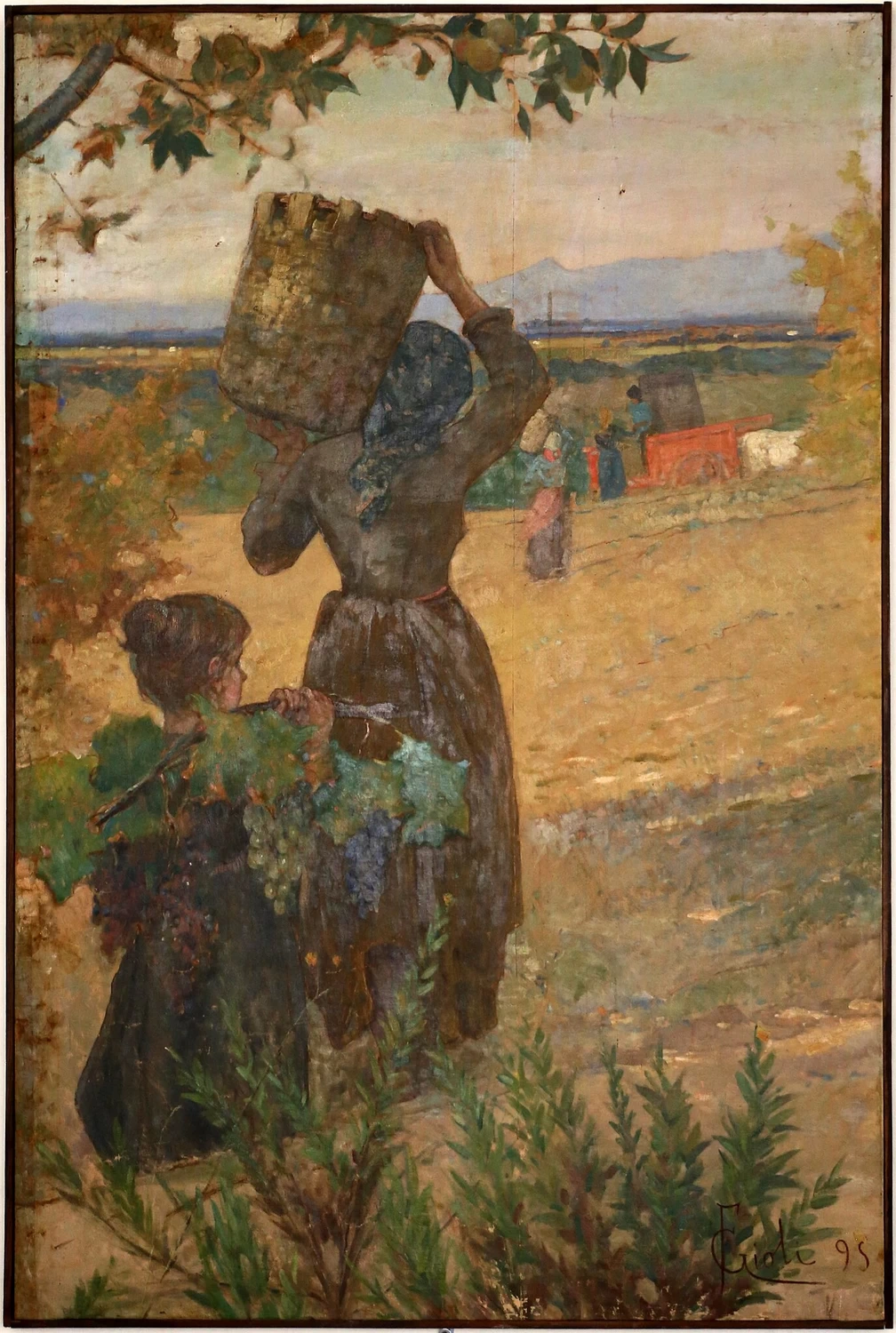 Contadine alla vendemmia, 1895